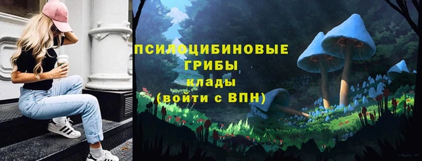 мет Армянск