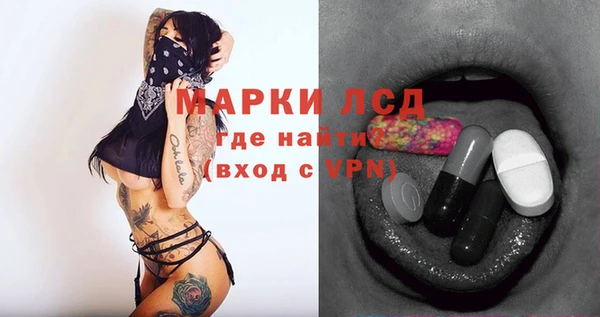 Альфа ПВП Аркадак