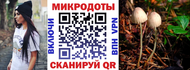 Галлюциногенные грибы Magic Shrooms Мглин